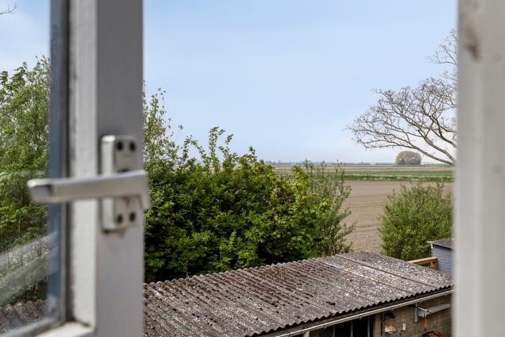 Photo 20 of de Roos 24