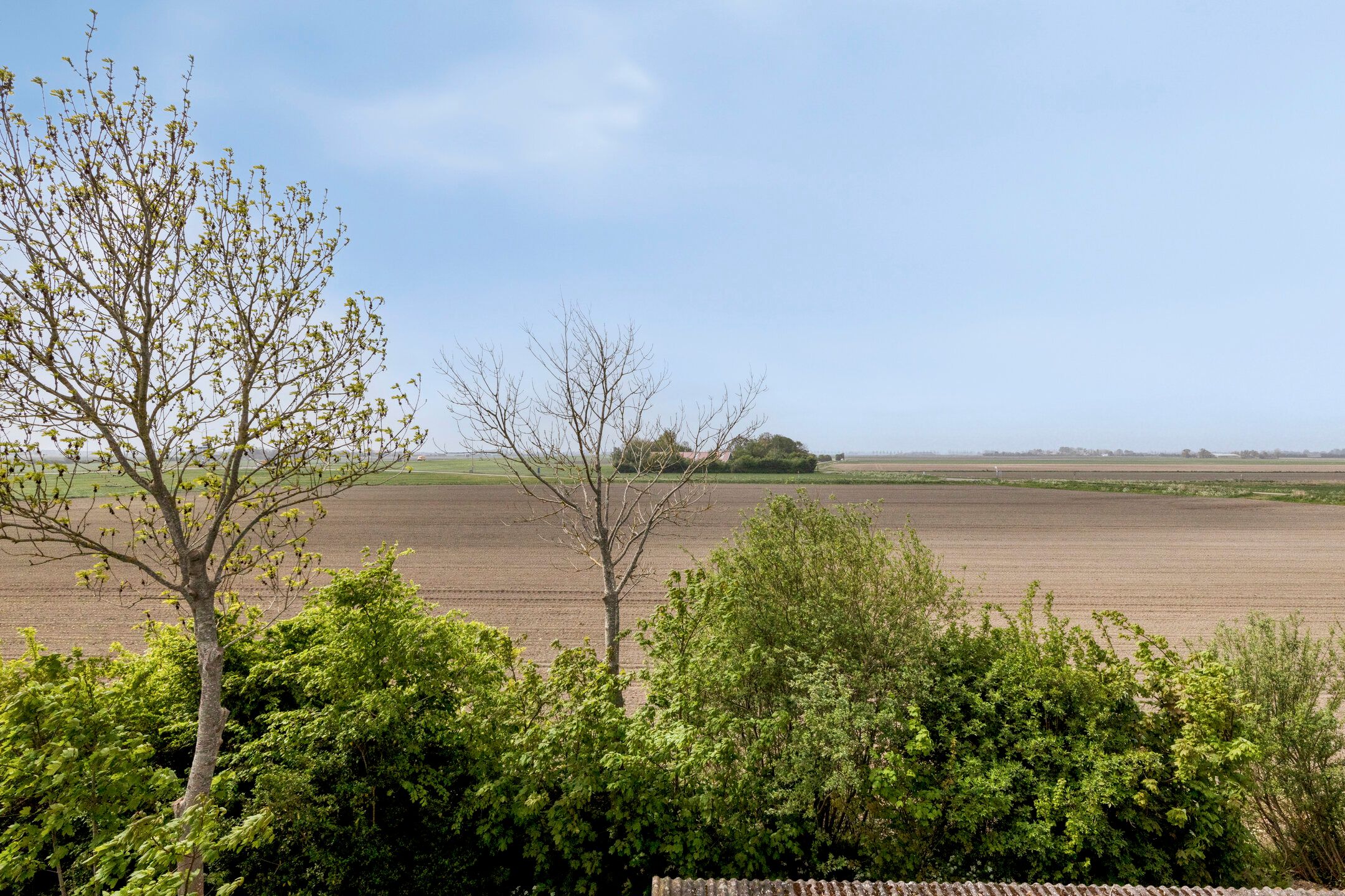 Foto 21 van de Roos 24