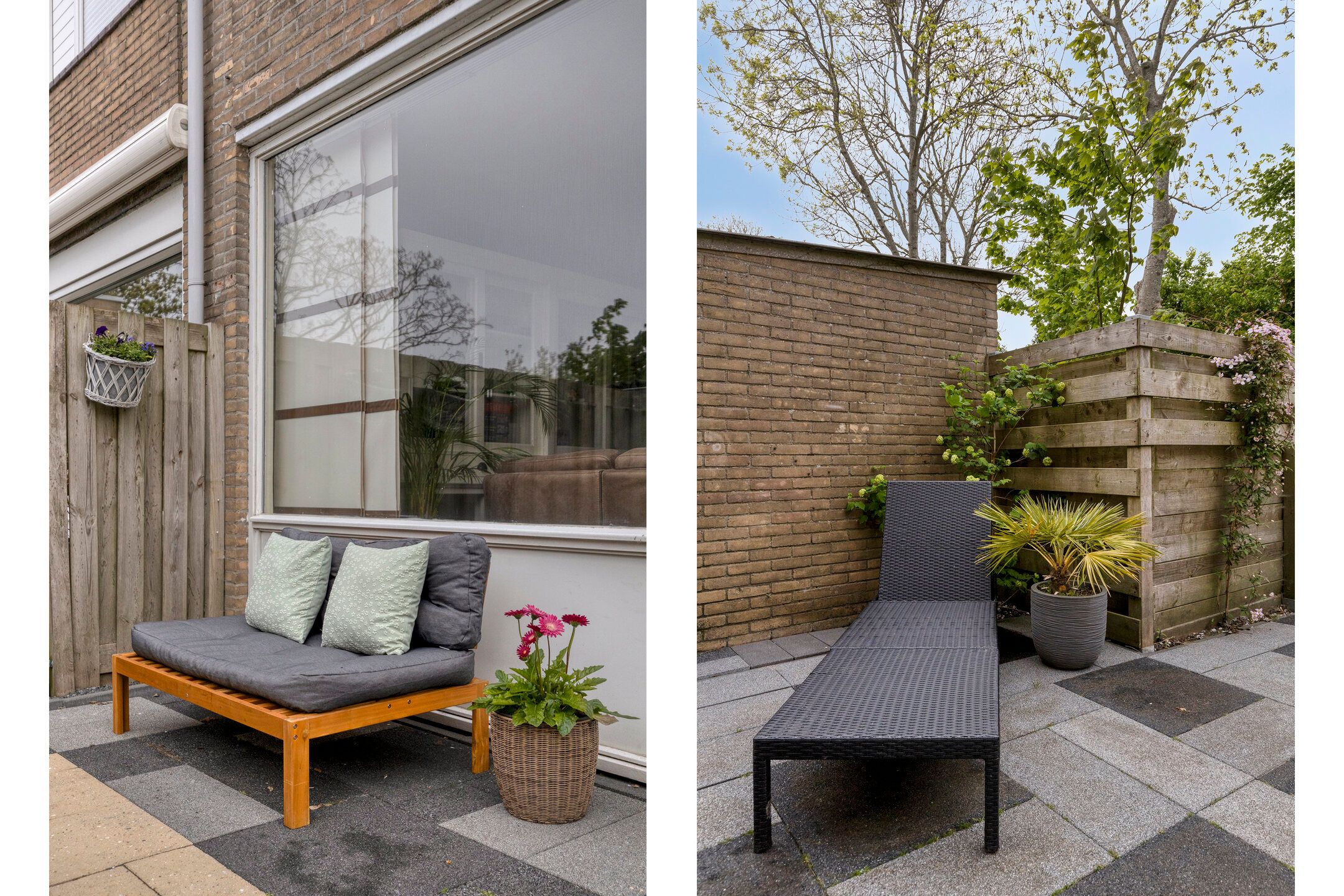 Foto 24 van de Roos 24