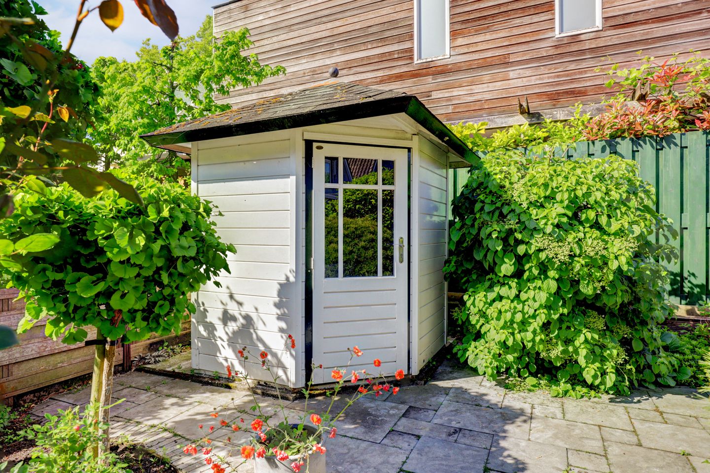 Foto 20 van Beryl 45