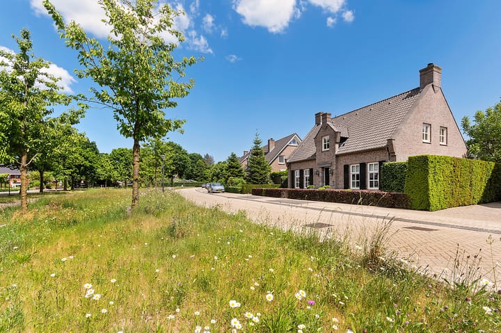 Foto 6 van Schepel 20