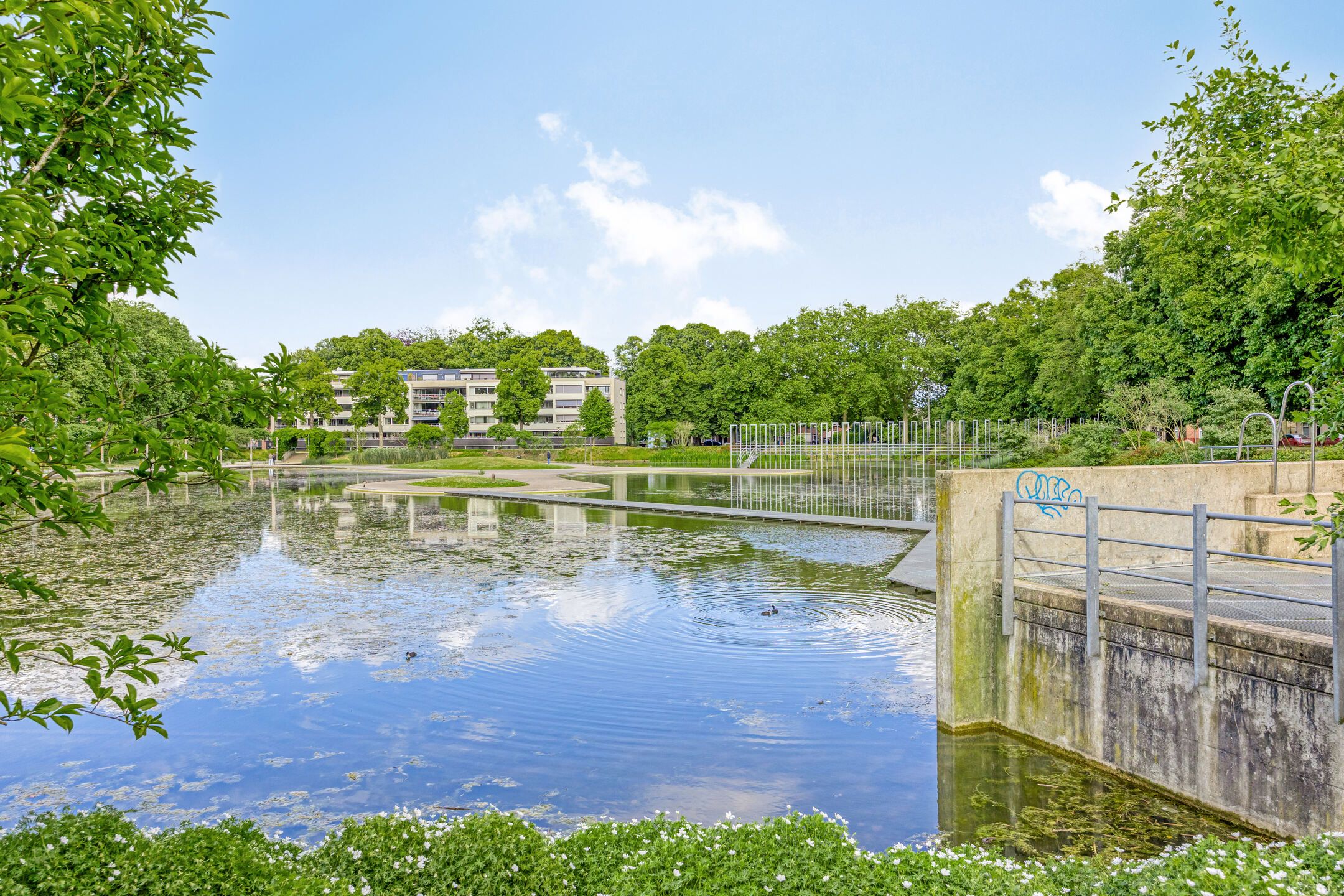 Photo 63 of Henriette Ronnerstraat 43