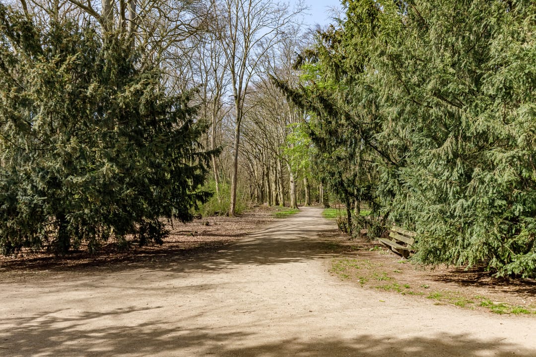 Photo 68 of Bosbeeklaan 11