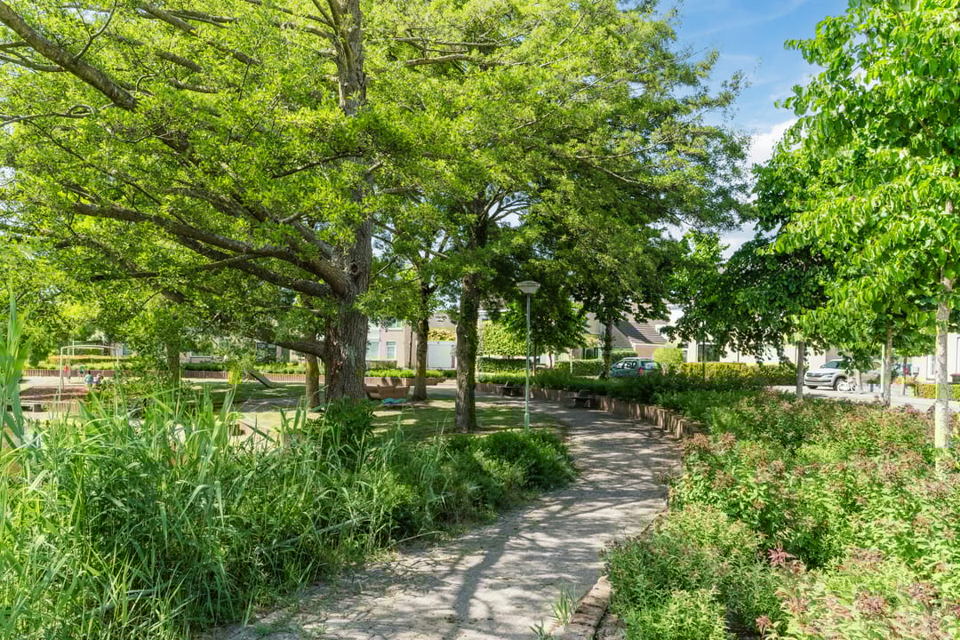 Foto 46 van Meester van Boemellaan 10