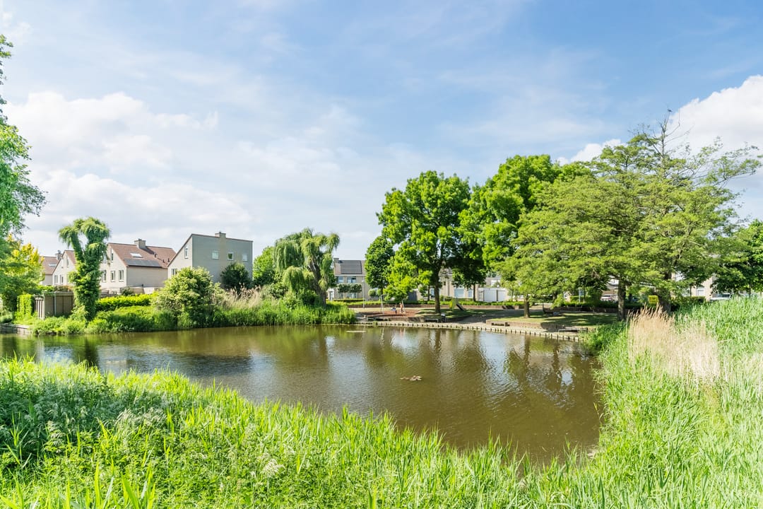 Foto 47 van Meester van Boemellaan 10