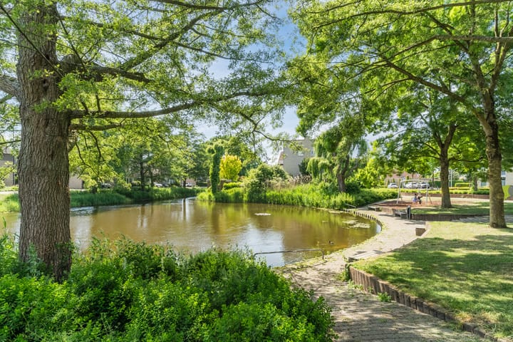 Foto 48 van Meester van Boemellaan 10