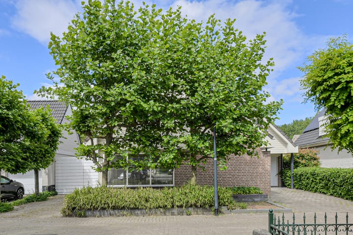 Foto 55 van Heemraadsdam 7