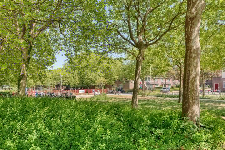 Foto 41 van Buizerdweg 4