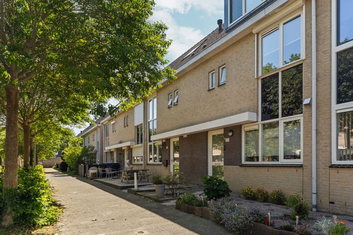 Foto 5 van Buziaupad 21