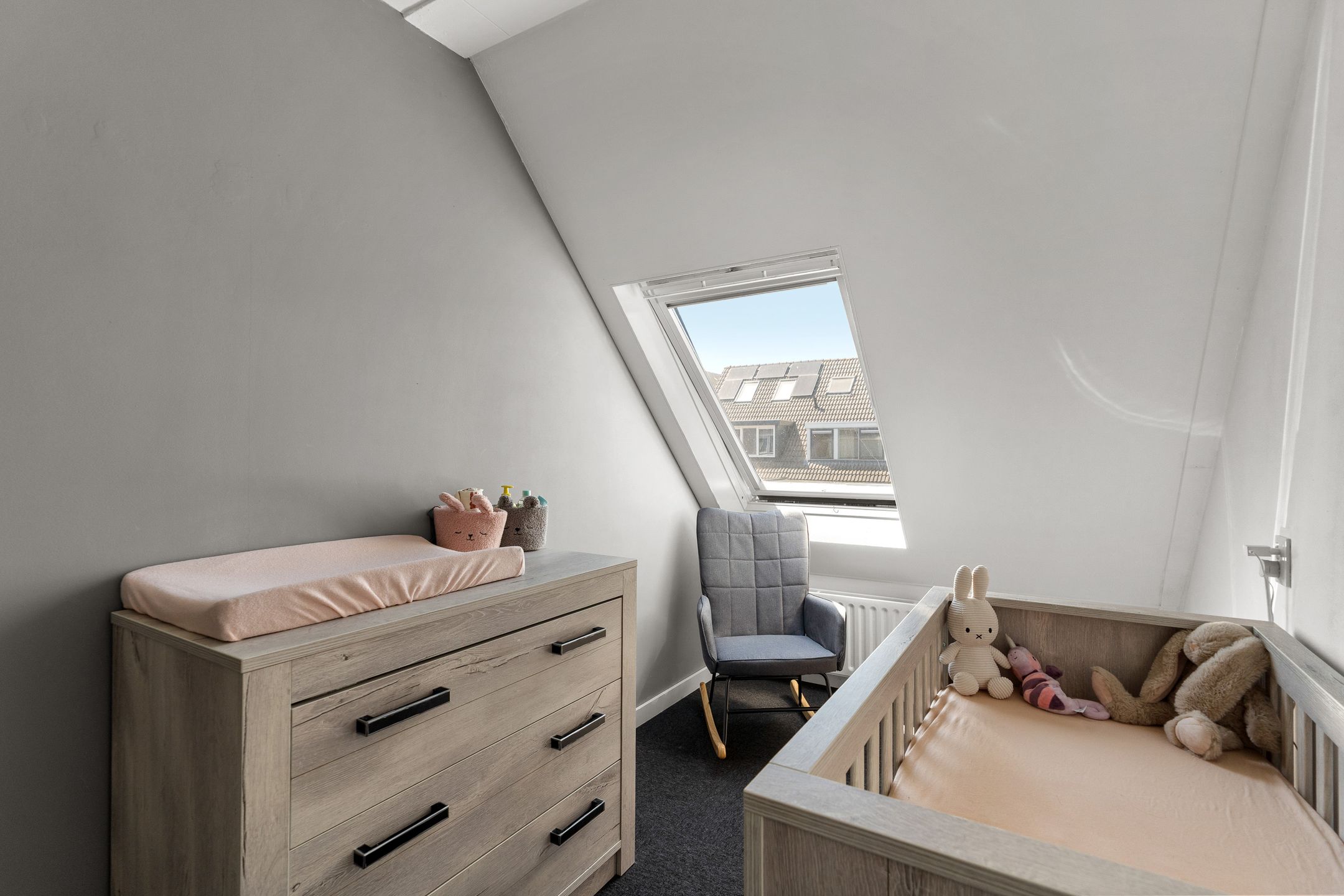 Photo 27 of Buziaupad 21