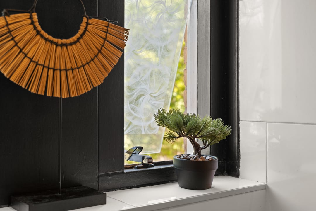 Photo 31 of Buziaupad 21