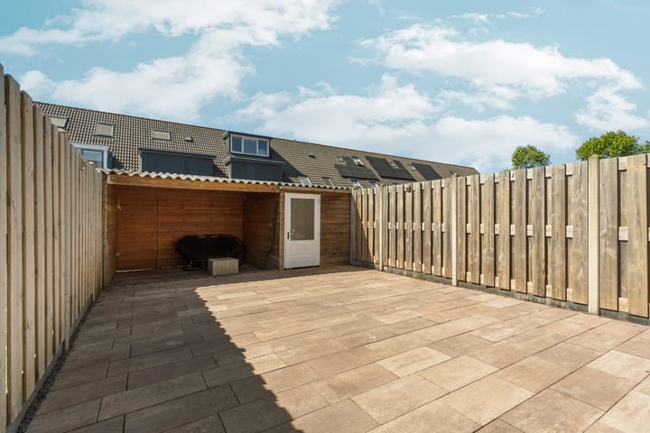 Foto 40 van Buziaupad 21