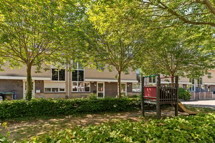 Foto 43 van Buziaupad 21