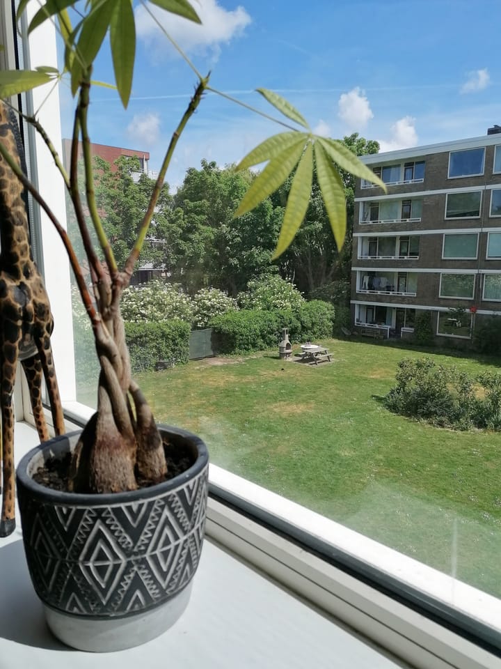 Photo 29 of Mozartstraat 213