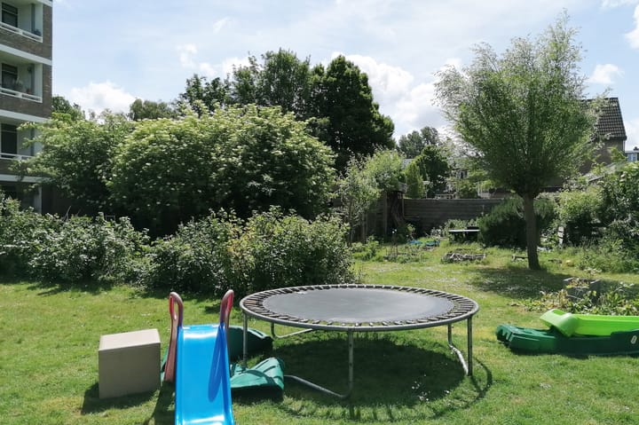 Photo 33 of Mozartstraat 213