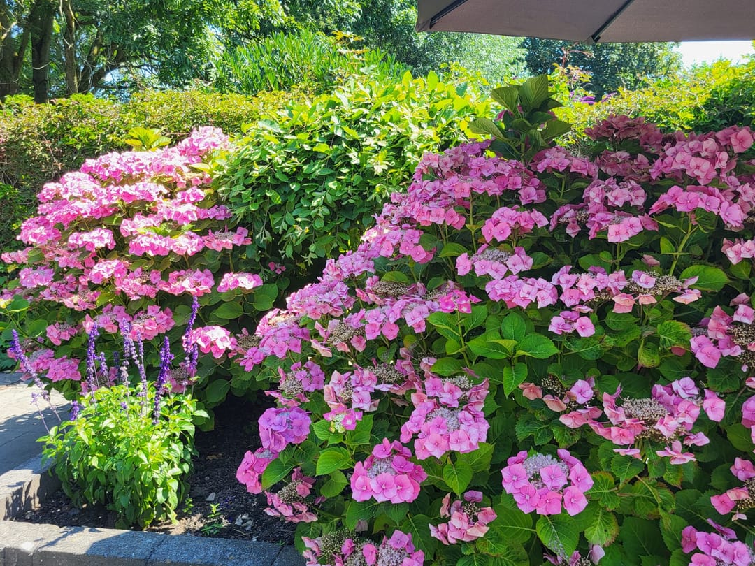 Foto 31 van Habijt 100