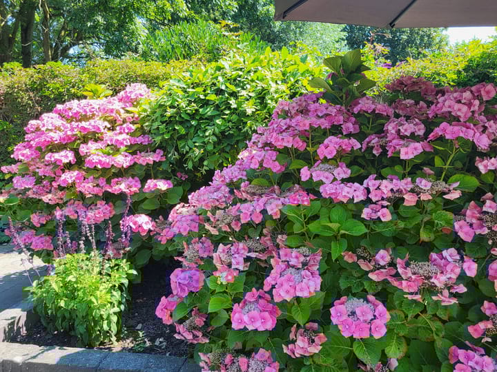 Foto 31 van Habijt 100