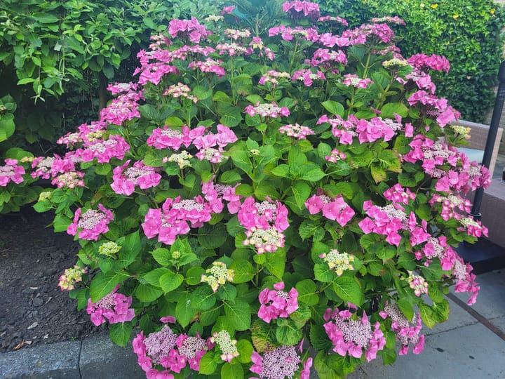 Foto 32 van Habijt 100