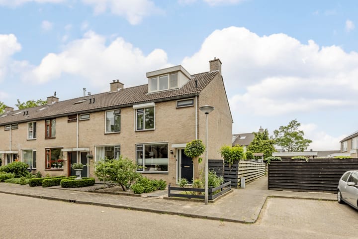 Foto 38 van Trasmolen 2