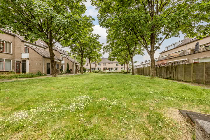 Foto 42 van Trasmolen 2