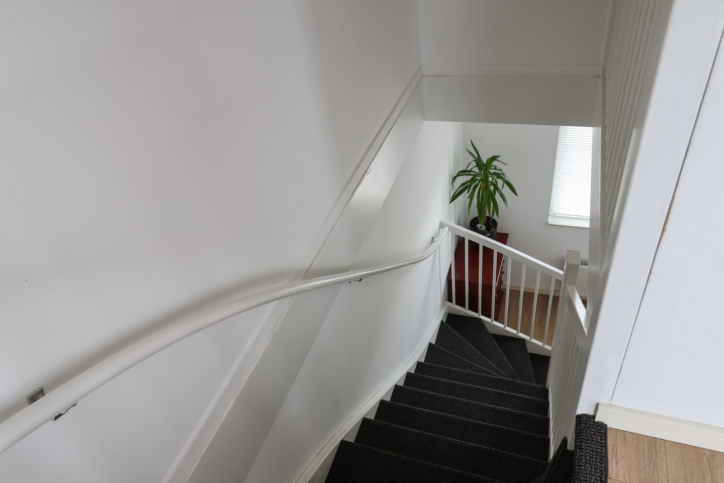 Foto 50 van De Rijd 98