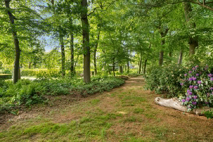 Foto 53 van Nijewei 8