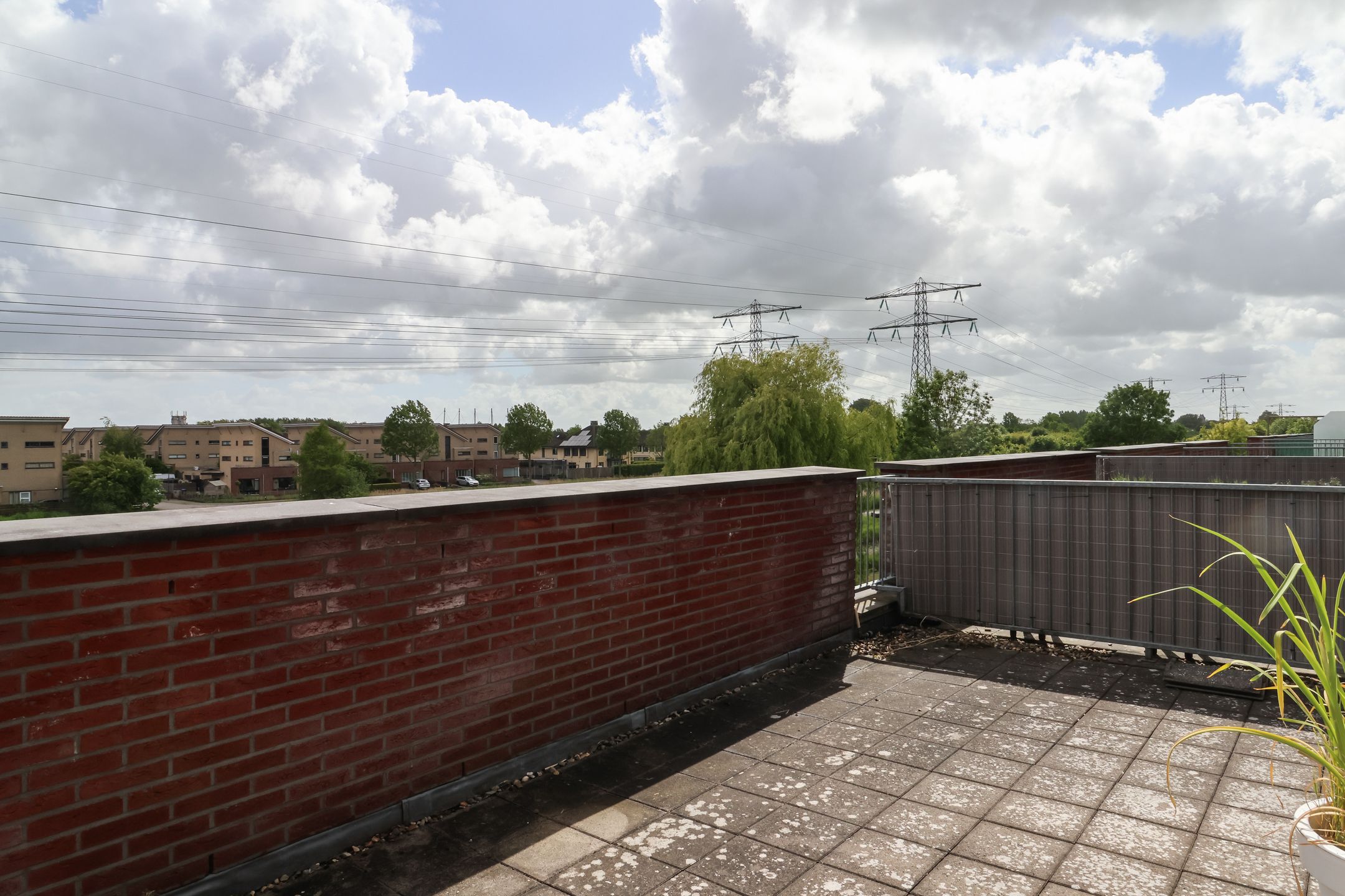 Foto 60 van De Rijd 98