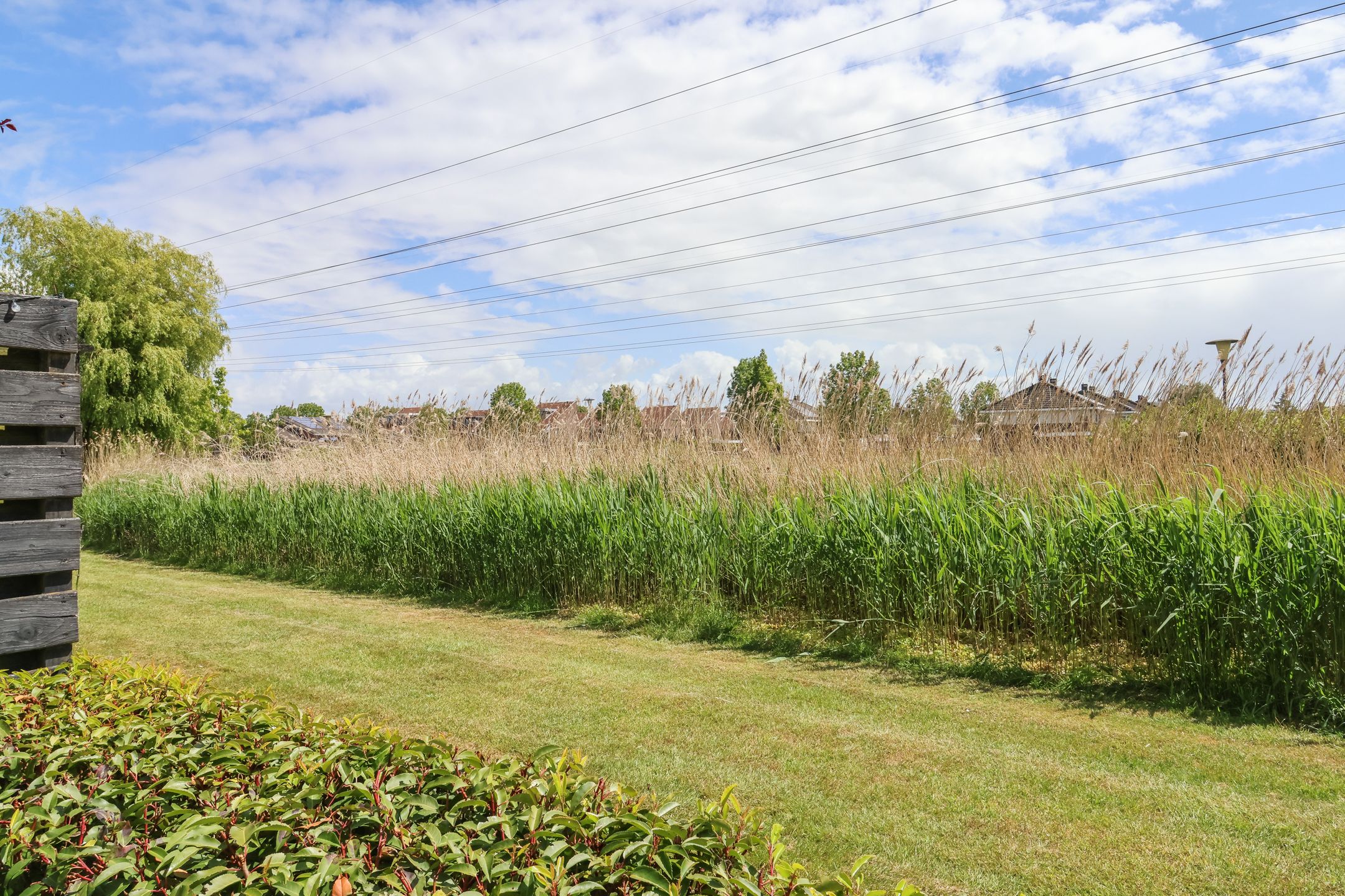 Foto 63 van De Rijd 98