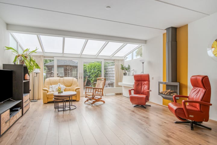 Foto 2 van Penningkruid 41