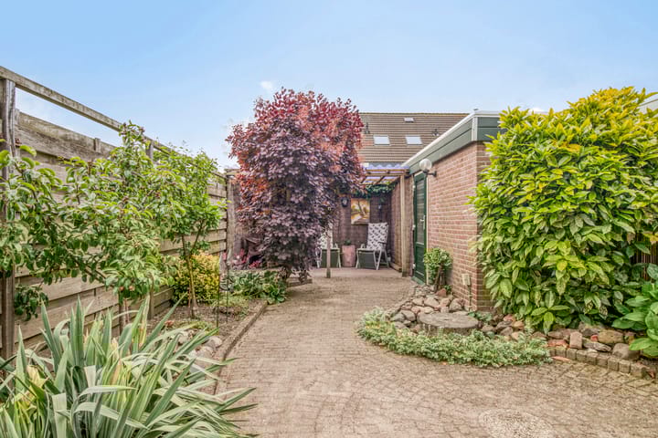 Foto 4 van Penningkruid 41