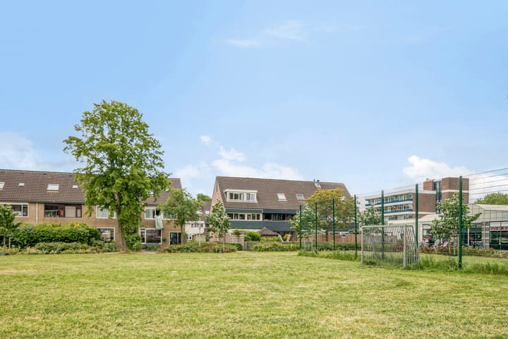 Foto 5 van Penningkruid 41