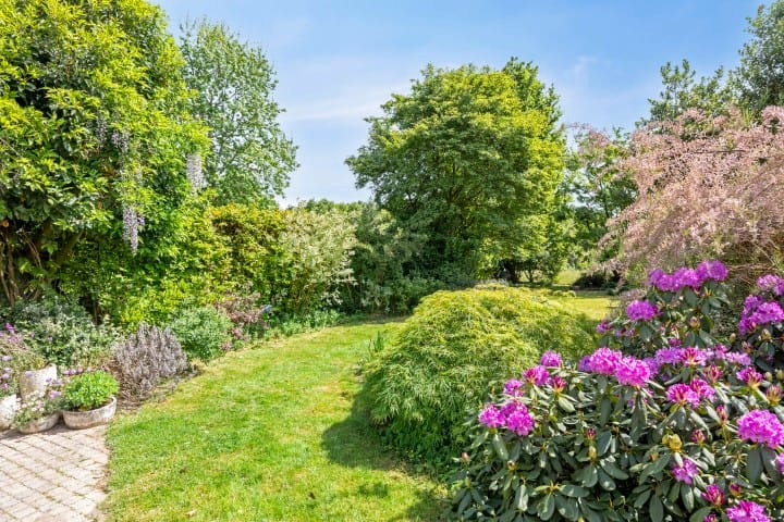 Foto 35 van Groenling 21