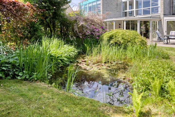 Foto 40 van Groenling 21