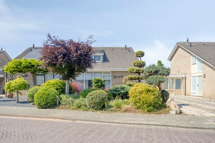 undefined main image