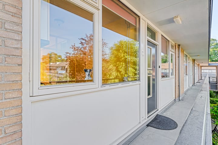 Foto 12 van Smetanastraat 17