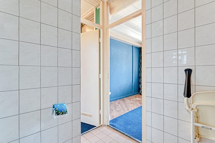 Foto 20 van Smetanastraat 17