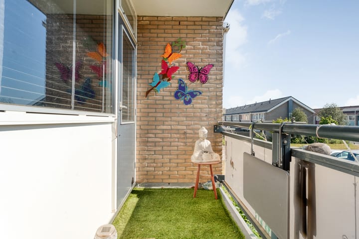 Foto 29 van Smetanastraat 17