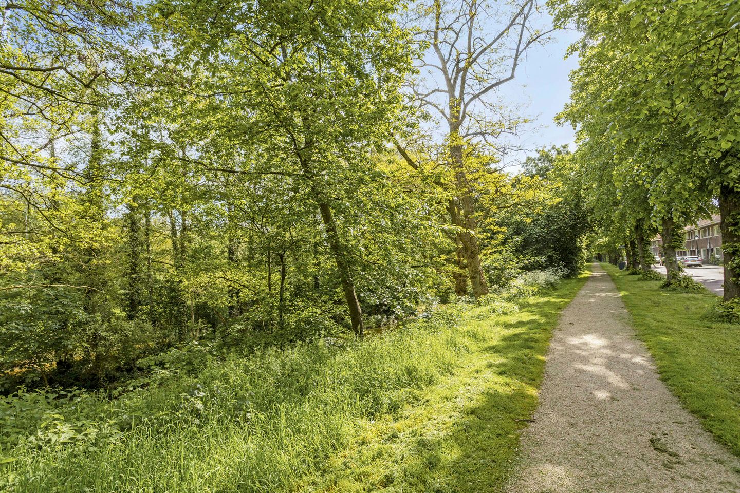 Foto 19 van Dr. Hermansstraat 6