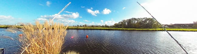 Tuin-uitzicht