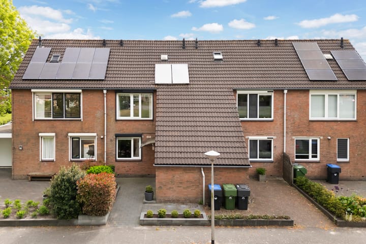 Foto 2 van Douwemastins 23