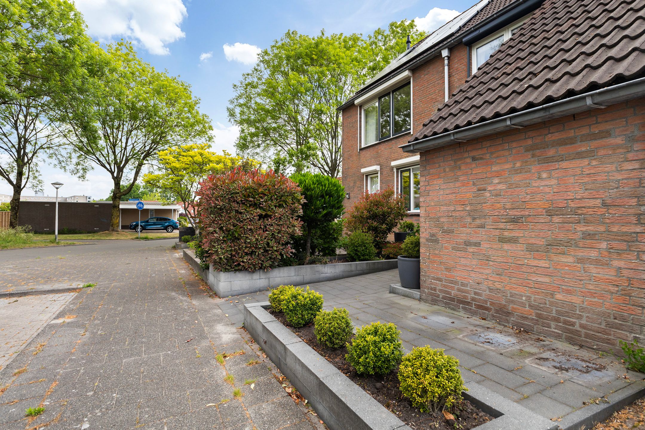 Foto 3 van Douwemastins 23