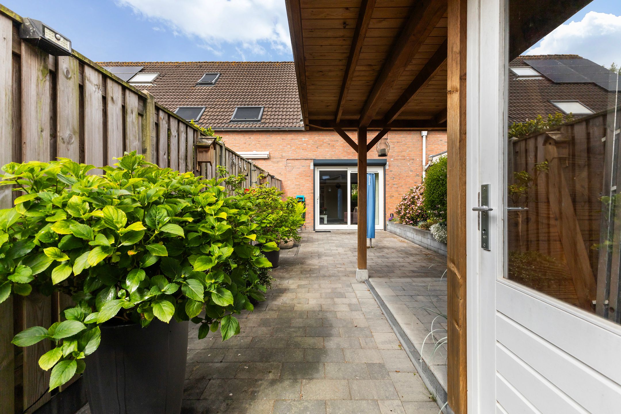 Foto 15 van Douwemastins 23