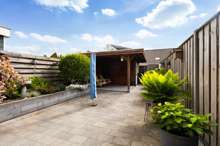 Photo 16 of Douwemastins 23