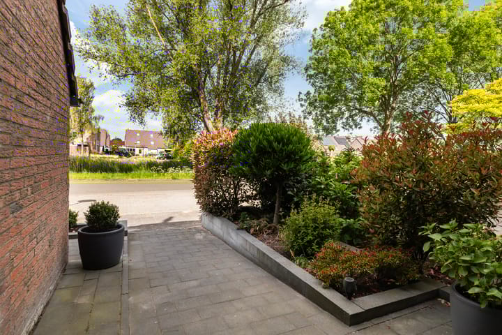 Photo 18 of Douwemastins 23