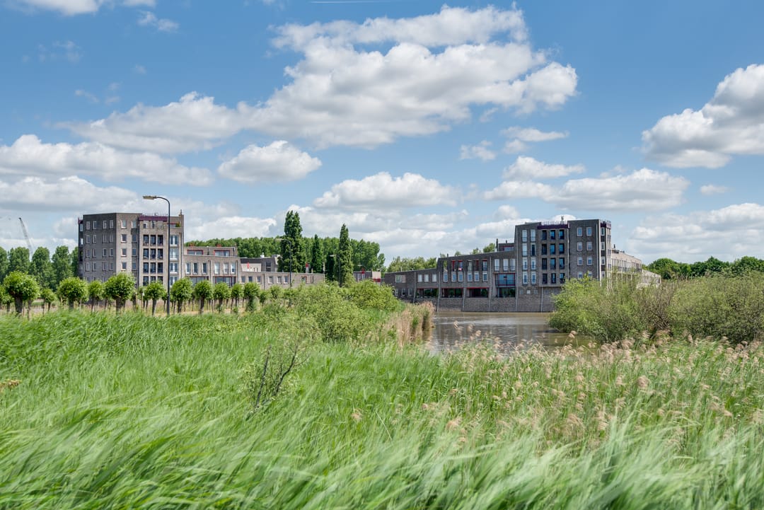 Foto 2 van Wuyvenhaerd 3