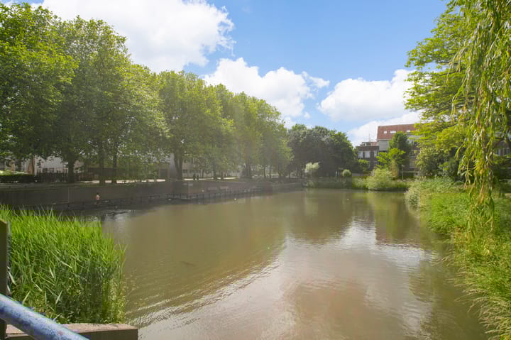 Foto 18 van Wamelplein 78