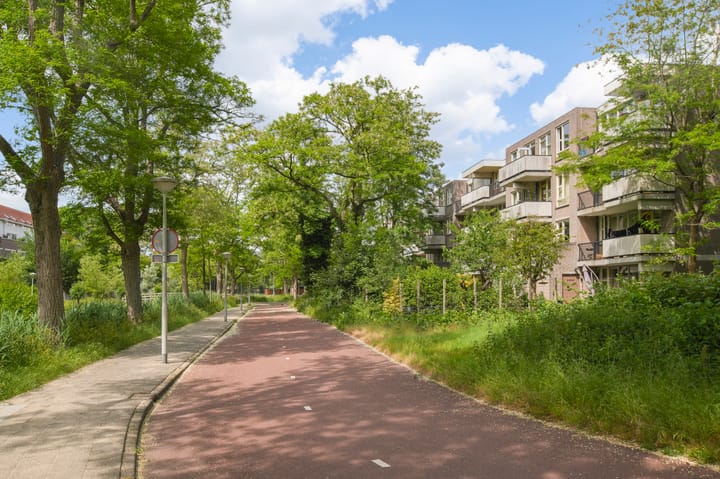 Foto 20 van Wamelplein 78