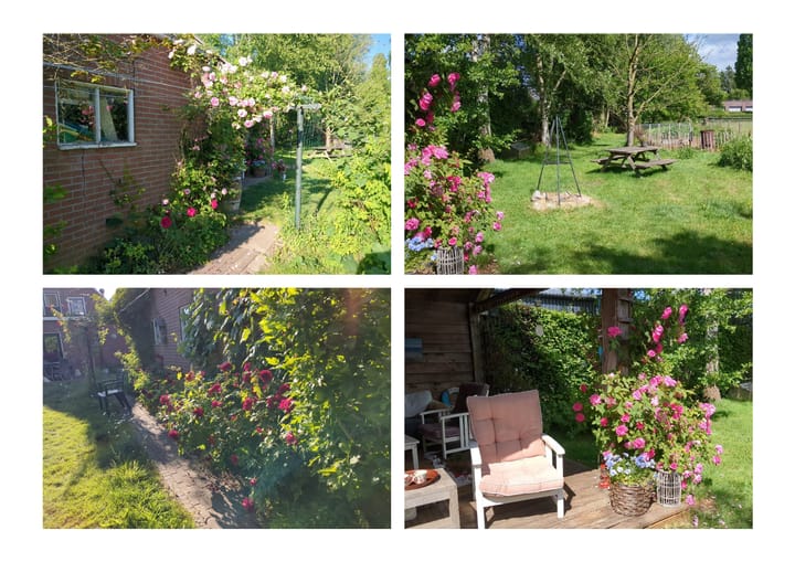 Foto 49 van Roggestraat 69