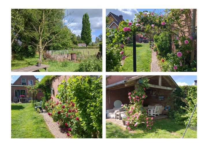 Foto 50 van Roggestraat 69