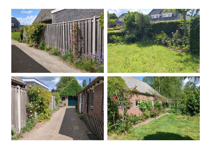 Foto 51 van Roggestraat 69